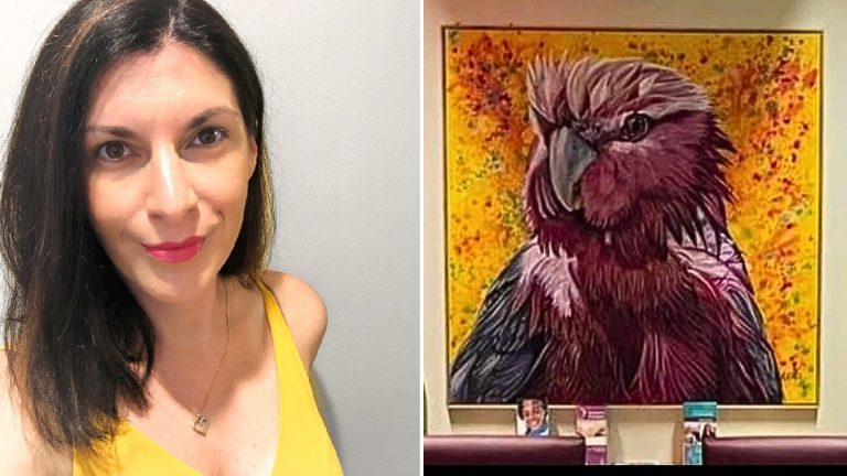 Kelly Batsiokis grateful for return of stolen painting to SA hospital