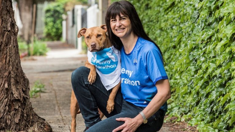 Greek Australian charity gives emergency help to stray animals in Gaza and Ukraine