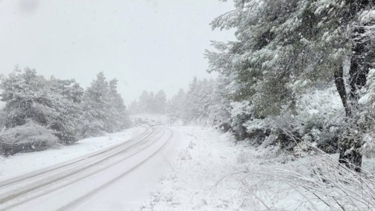 Snow causes disruptions to parts of Greece as cold front hits