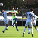 the greek herald cup