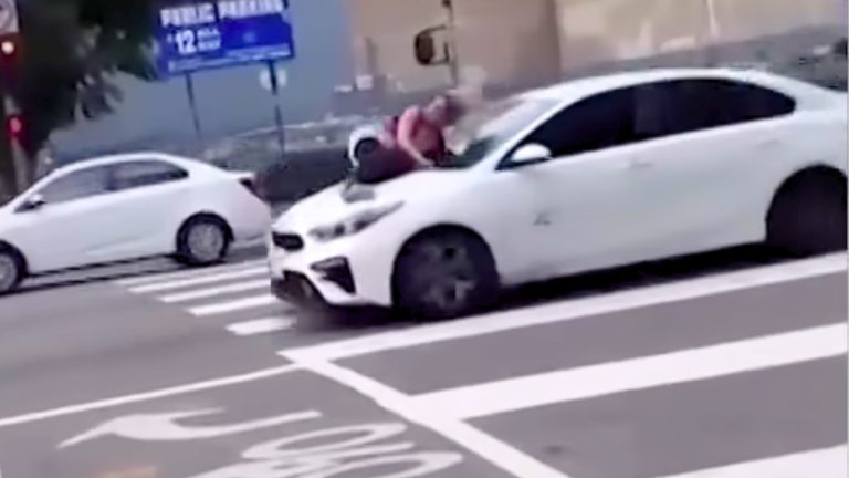 Ali Zacharias clings to moving car to save dog from thieves