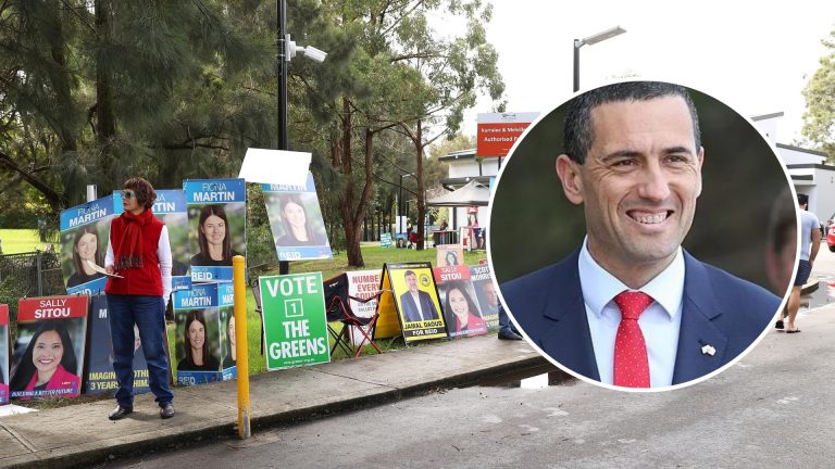 SA Government supports Liberals ban on election corflutes 