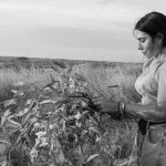 Eva Boleti in Halls Creek, WA.