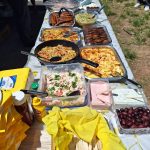 Karpathian Association of Canberra holds annual BBQ ahead of 65th anniversary celebrations. 6