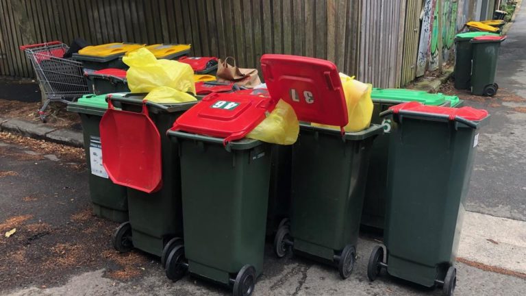 Effi Tsoukatos among Inner West residents furious over climate-saving waste plan 