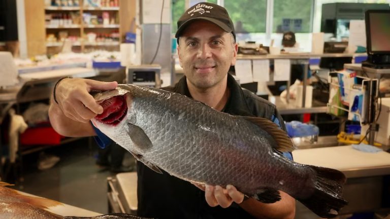 Chris Savva on impact of seafood shortage for Catholic Easter feast