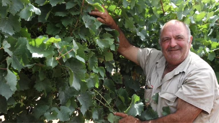 SA grape grower Jack Papageorgiou comments on China’s wine tariffs 