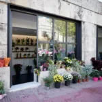 Flower shops of Syntagma Square