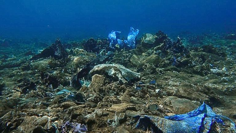 Greece to spend 780 million euros to protect marine biodiversity