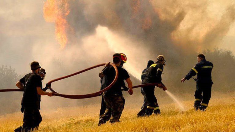 Greece’s 71 wildfires sound alarm for troubled fire season