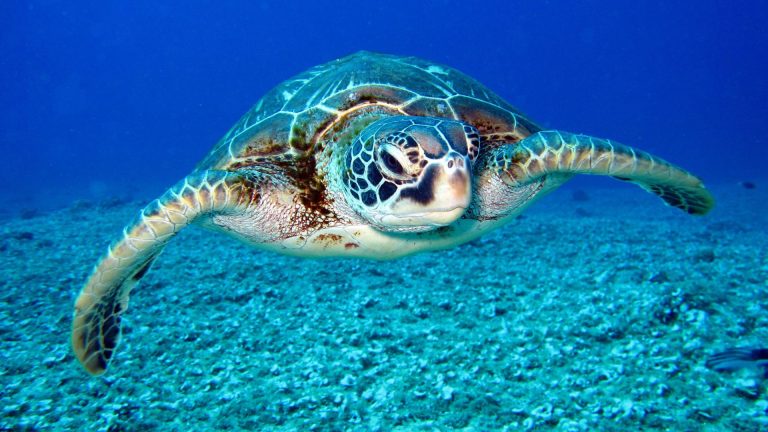 Greece to launch two new marine parks