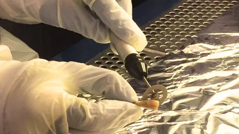 Cretans executed by Nazis identified 83 years later through DNA