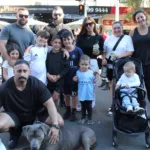 greek fest brighton (64)