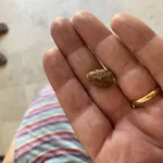 Eric Alexandrakis holding one of the bullets found in one of the skulls