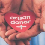 Greek Welfare Centre of SA receives funding to raise awareness about organ donation