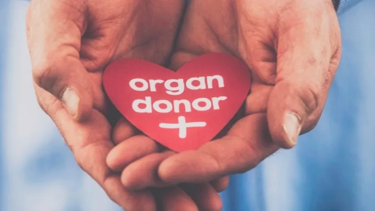 Greek Welfare Centre of SA receives funding to raise awareness about organ donation