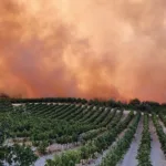 crete wildfire