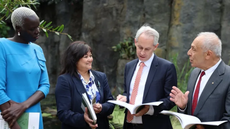 IMMA welcomes Multicultural Framework Review report