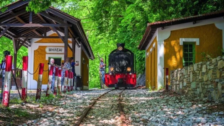 Historic Μount Pelion steam tourist train resumes daily service