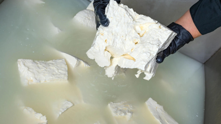 Greek farmers confirm livestock plague won’t impact feta production