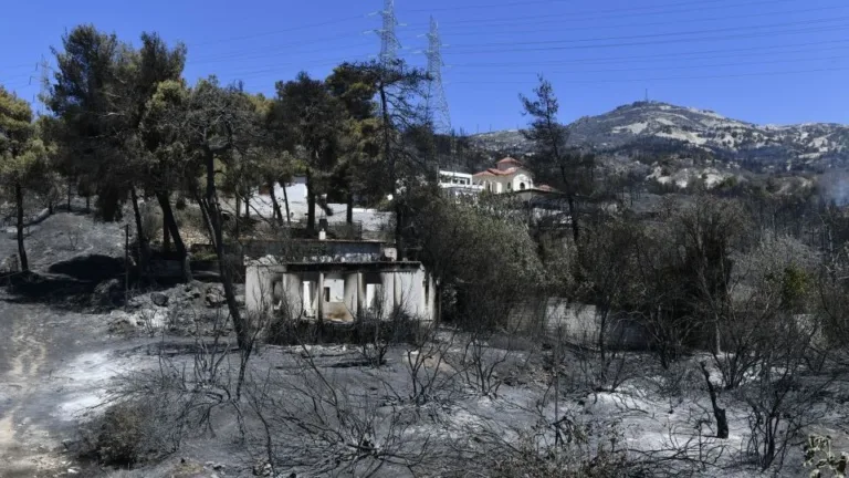 Firefighters tame fire near Athens which killed one person