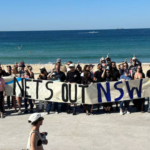 Calls for shark net ban intensify as Sydney Mayor and NSW MP join campaign at Bondi Beach