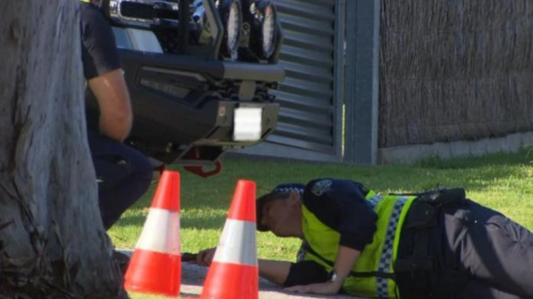 18-month-old girl dies after being struck by family ute in Adelaide
