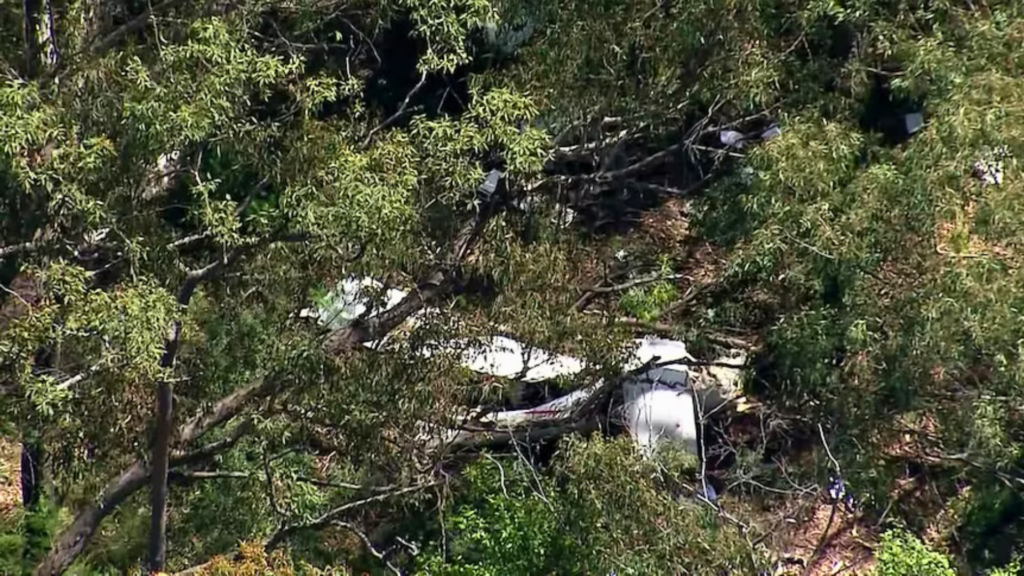 The aircraft crashed in bushland near Oakdale after colliding midair.

