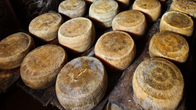 Greek hard cheeses earn recognition as some of the world’s finest