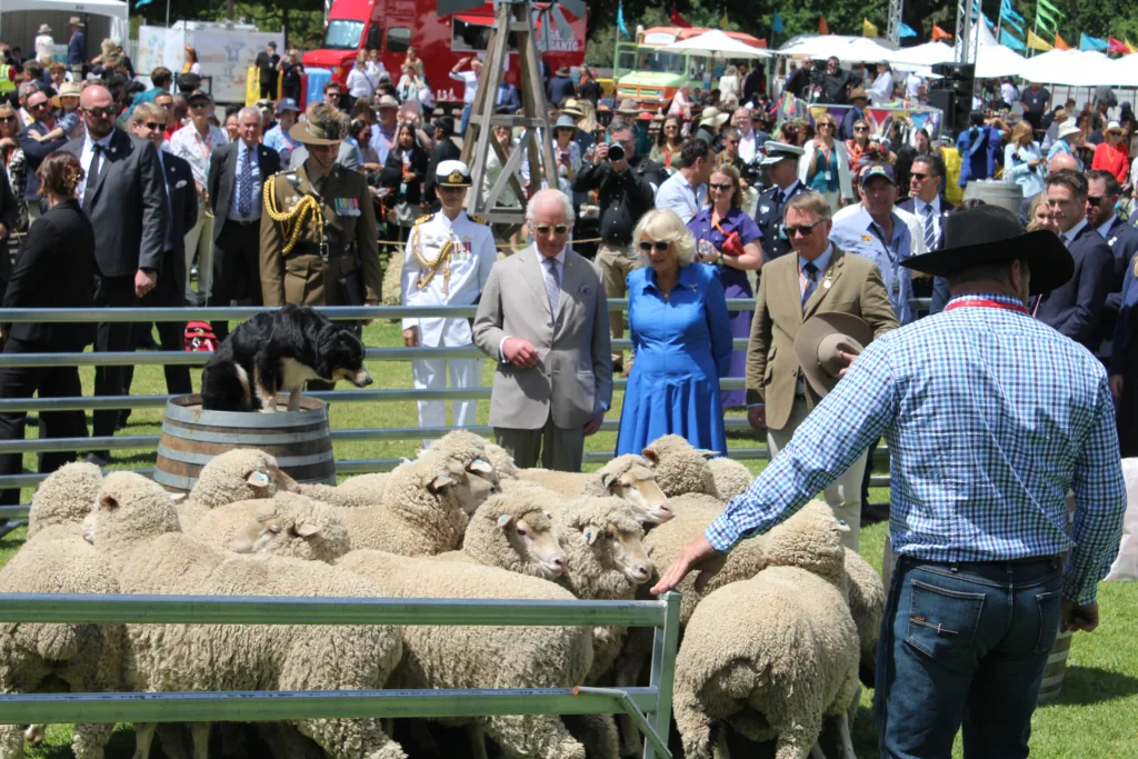 Chris Tsornassidis, γενικός διευθυντής της Beef Producers Australia,