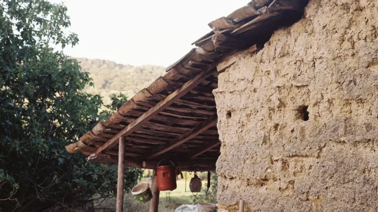 A return to the village: Are Greek Australians drawn to a slower life?