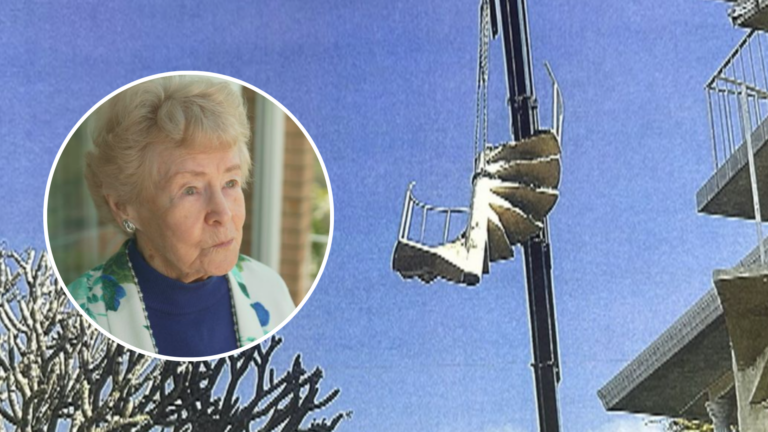 Tradie Leon Tsounakas leaves Sydney grandmother in the lurch without a staircase