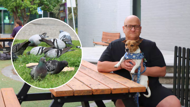 Melbourne residents call for council action as bird poo litters public spaces