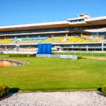 rosehill-gardens-racecourse