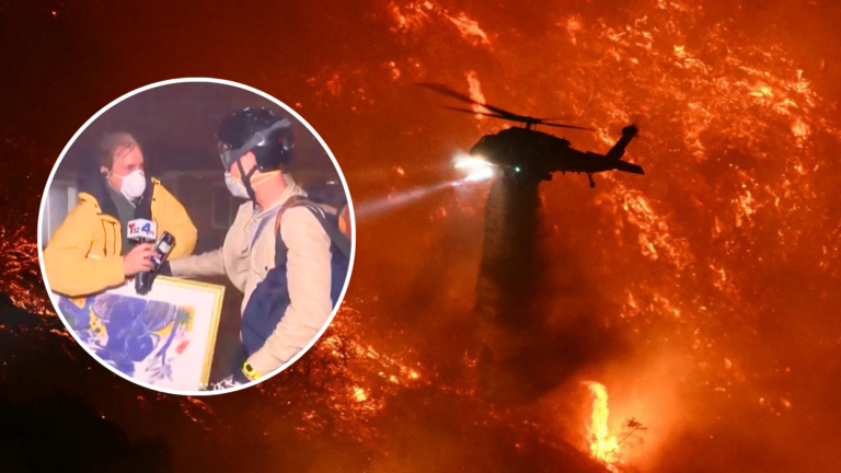 LA wildfire survivor saves Alekos Fassianos painting inspiring gratitude from artist’s family