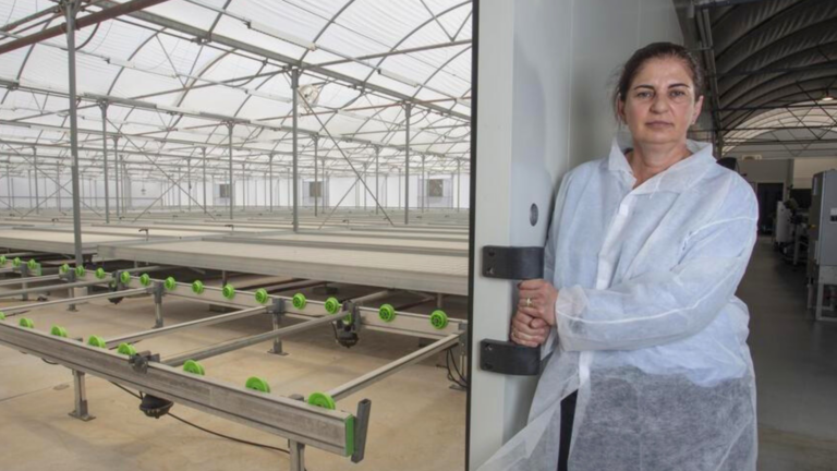 Petsios family close SA tomato farm after 65 years due to virus