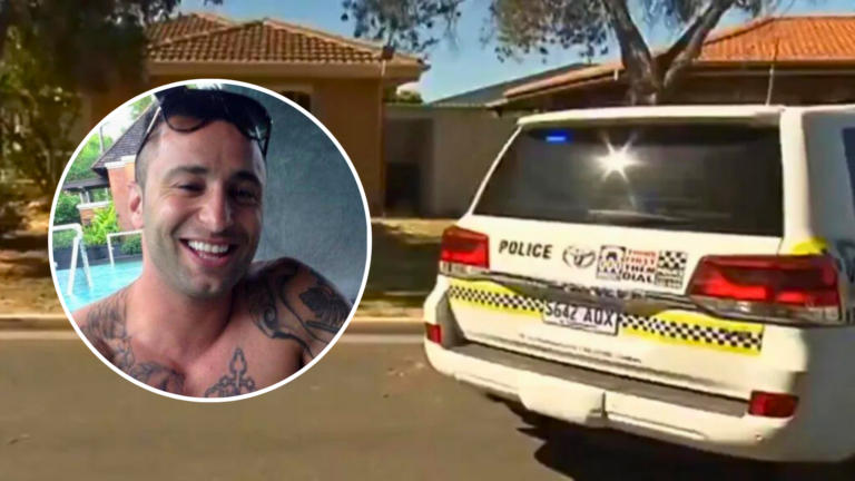 Sarantis Parissos faces victim impact statements over hit-and-run and police car theft