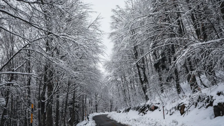 ‘Coral’ storm blankets Greece in snow, affecting schools and roads