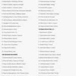 tripadvisor-lista