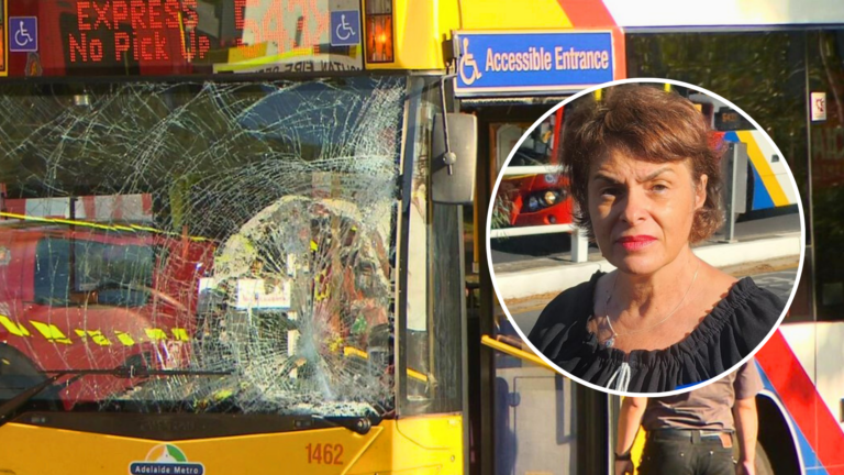 Pat Kominos calls for urgent action after pedestrian hit by bus in Adelaide