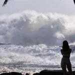 cyclone alfred