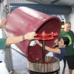 samians kytherians wine event (6)