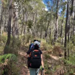 7. Bush walk – Copy