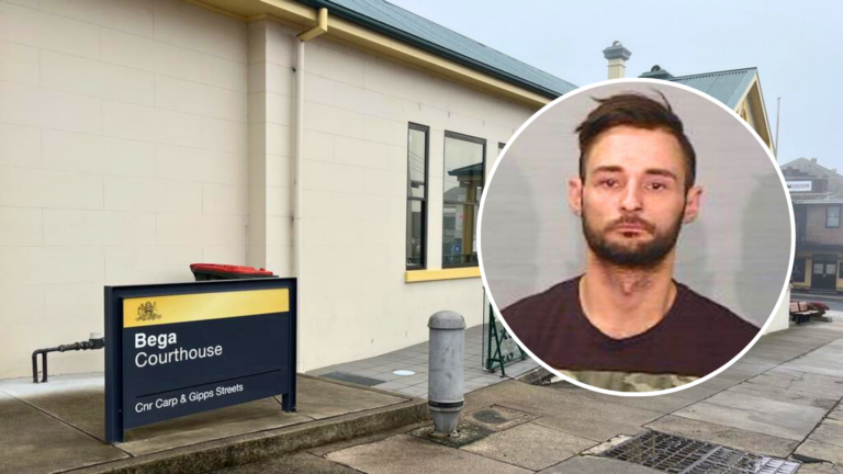 Troy Vlahos pleads guilty to firearm and vehicle offences after plea deal