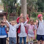 GCM ZOO