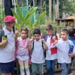GCM zoo (1)