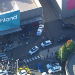 Michael Pavlou recalls ‘panic’ during machete brawl at Northland Shopping Centre