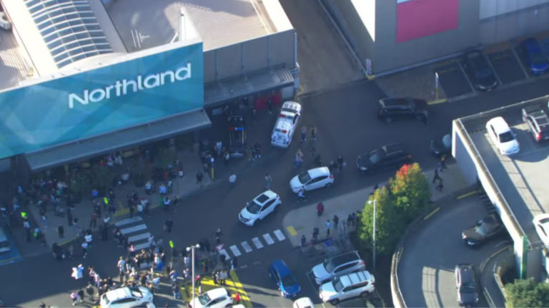 Michael Pavlou recalls ‘panic’ during machete brawl at Melbourne shopping centre