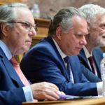 Hellenism Diaspora Committee hold meeting for the World Day of the Greek Language