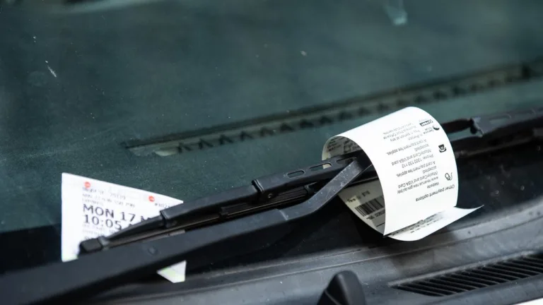 Vicki Megaloudis calls out NSW councils over ticketless parking fines